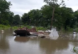 Imagem ilustrativa da imagem Famílias ficaram desabrigadas após fortes chuvas no norte e nordeste de Goiás