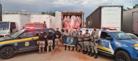 Imagem ilustrativa da imagem Carga de Carne roubada é aprendida pelas forças policiais de Goiás