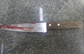 Imagem ilustrativa da imagem Suspeita de matar namorado com faca de cozinha é presa