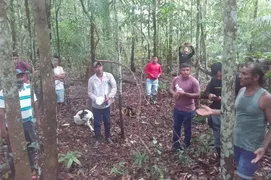 Imagem ilustrativa da imagem Irmãos perdidos na floresta sobrevivem comendo fruta típica da Amazônia