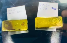Imagem ilustrativa da imagem Suspeitos de exploração ilegal de ouro são alvos de operação
