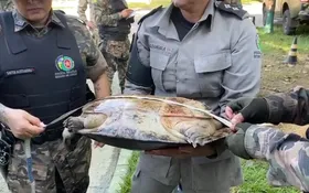 Imagem ilustrativa da imagem Vereador de Aruanã é preso em operação contra a pesca predatória