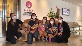 Imagem ilustrativa da imagem Cães levam alegria a pacientes do INGOH