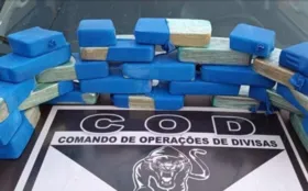 Imagem ilustrativa da imagem Carga de cocaína avaliada em quase R$ 1 milhão é apreendida no interior de Goiás
