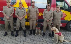 Imagem ilustrativa da imagem Goiás envia bombeiros e cães para reforçar nas buscas em Pernambuco