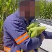 Imagem ilustrativa da imagem Após gerente humilhar caminhoneiro flagrado furtando milho, fazenda emite nota pedindo perdão