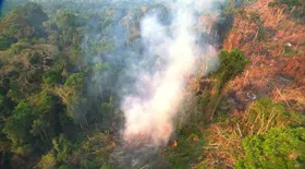 Imagem ilustrativa da imagem Amazônia tem maior número de incêndios desde 2004