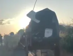 Imagem ilustrativa da imagem Motorista bate contra carro de boi e deixa animais feridos