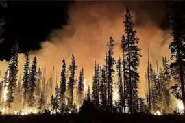 Imagem ilustrativa da imagem Incêndio florestal força retirada de milhares de pessoas na Califórnia
