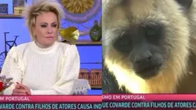 Imagem ilustrativa da imagem Globo demite funcionário que exibiu imagens de macacos em pauta sobre racismo no Mais Você