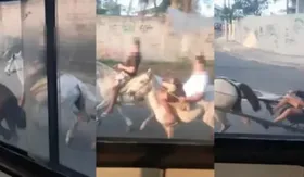Imagem ilustrativa da imagem Após provocações, jovens a cavalo cercam ônibus no Rio