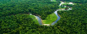 Imagem ilustrativa da imagem Amazônia perdeu 44,5 milhões de hectares convertidos para a agropecuária